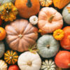 Various fresh ripe pumpkins as background, top view. Holiday decoration