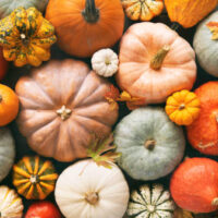 Various fresh ripe pumpkins as background, top view. Holiday decoration